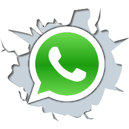 Chat Whatsapp